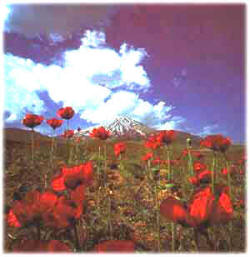 damavand
